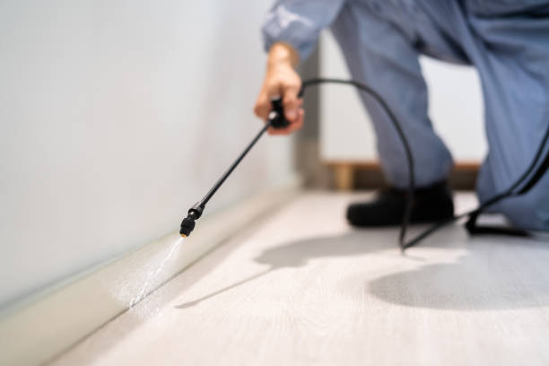 Professional exterminator conducting IPM assessment in Minneapolis